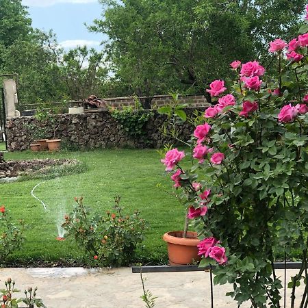 Chez Yvette Bed & Breakfast Garni Eksteriør bilde